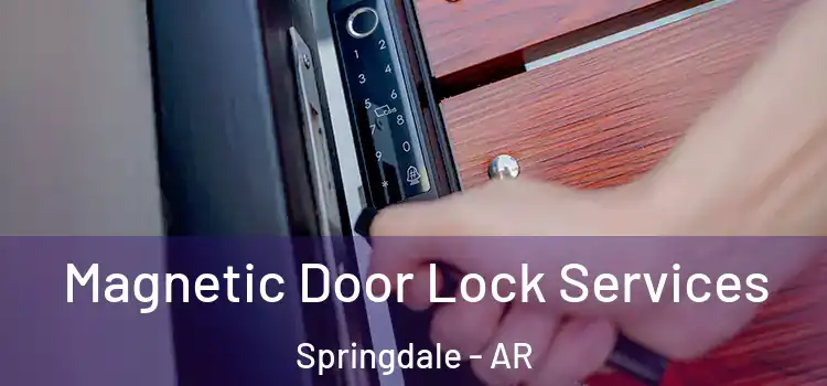 Magnetic Door Lock Services Springdale - AR